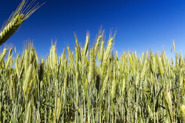 Similar image 13047396