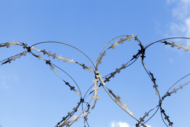 Similar image 13047438