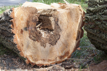 Similar image 13047478