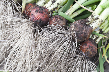 Similar image 13047672