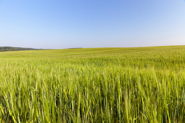 Similar image 13047777