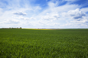 Similar image 13047794