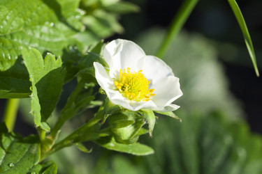 Similar image 13047875