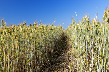 Similar image 13047913