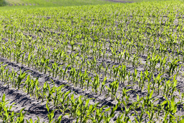 Similar image 13047914