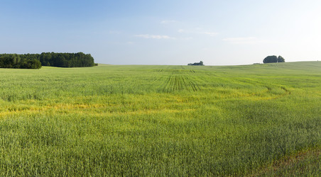 Similar image 13047916