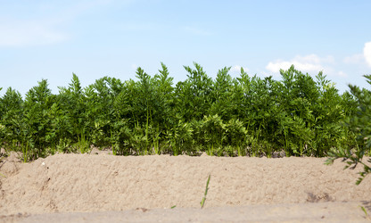 Similar image 13047931