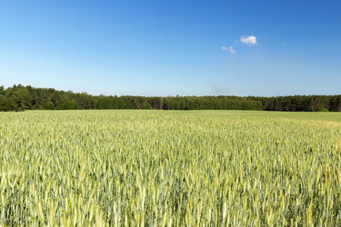 Similar image 13047157