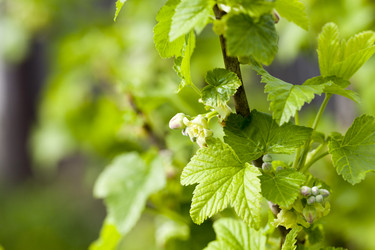 Similar image 13047196