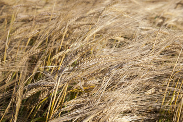 Similar image 13047219