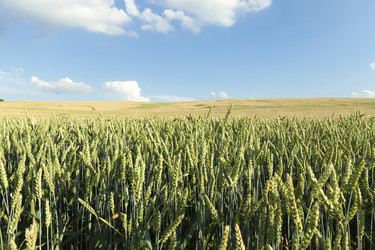 Similar image 13047239