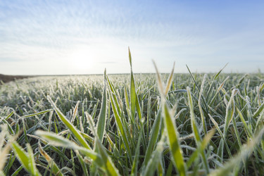 Similar image 13047315