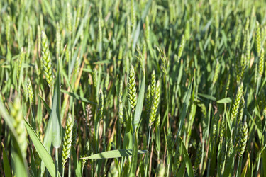 Similar image 13047337