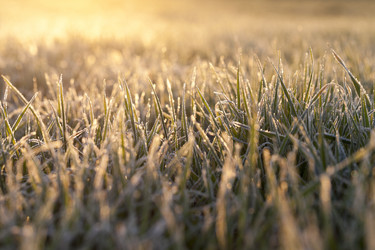 Similar image 13047557