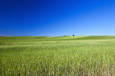 Similar image 13047756