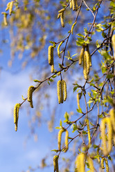 Similar image 13047778