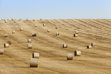 Similar image 13047816