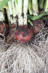 Similar image 13047859