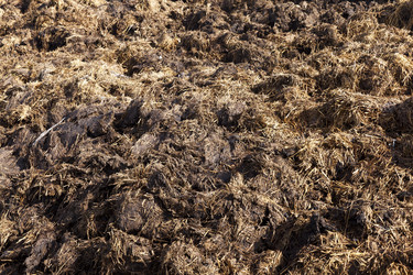 Similar image 13047877