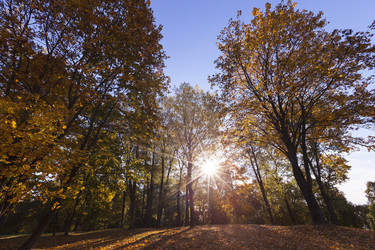 Similar image 13047899