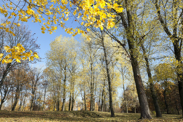 Similar image 13047933