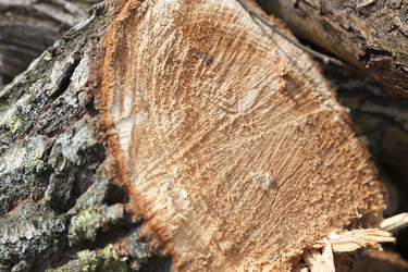 Similar image 13047158