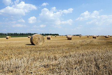 Similar image 13047178