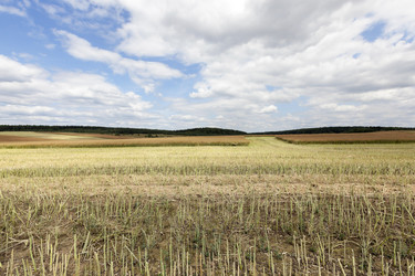 Similar image 13047339