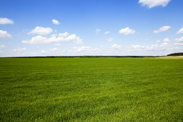 Similar image 13047542