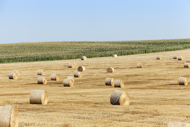 Similar image 13047621