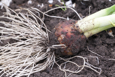 Similar image 13047638