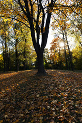 Similar image 13047675