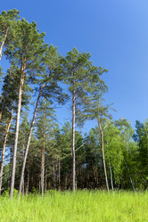 Similar image 13047698