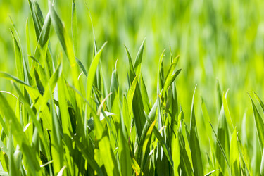 Similar image 13047738