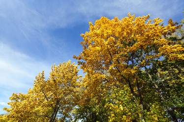 Similar image 13047758