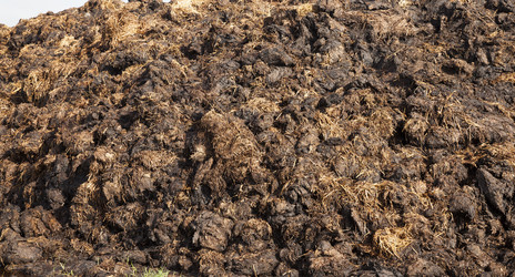 Similar image 13047760