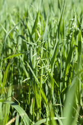 Similar image 13047902