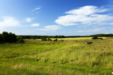 Similar image 13047935