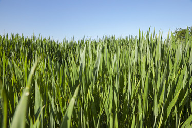 Similar image 13047223