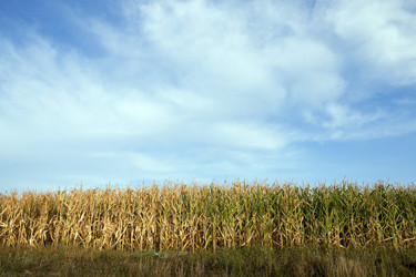 Similar image 13047260