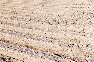 Similar image 13047320