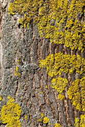 Similar image 13047502