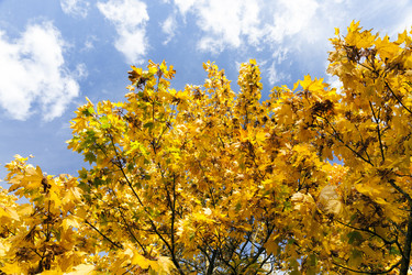 Similar image 13047560