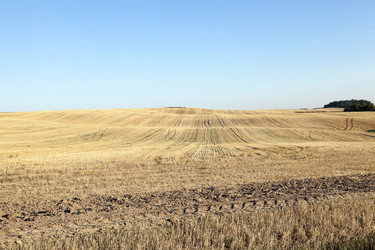 Similar image 13047622