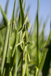 Similar image 13047721