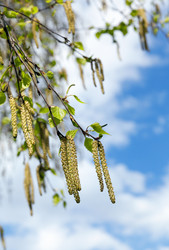 Similar image 13047741