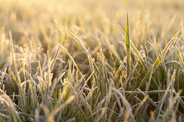 Similar image 13047905