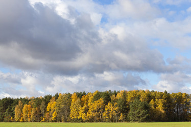 Similar image 13047939