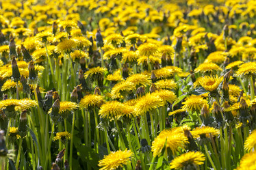 Similar image 13047940