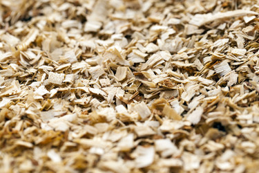 Similar image 13047144